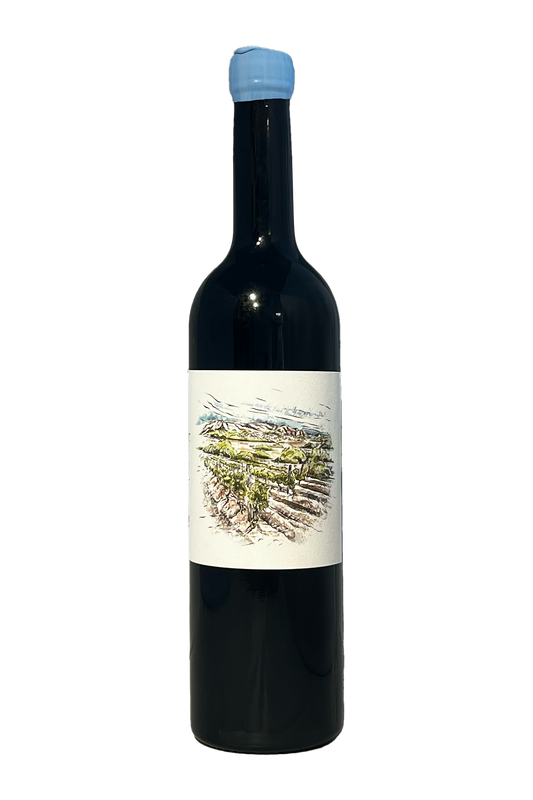 Eduardo Garza Vi de Paratge Socarrats Priorat 2020